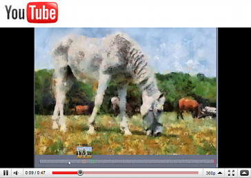 Video 3