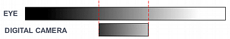 Dynamic Range