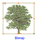 bitmaptyp